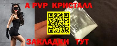 спиды Гай