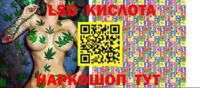 спиды Гай