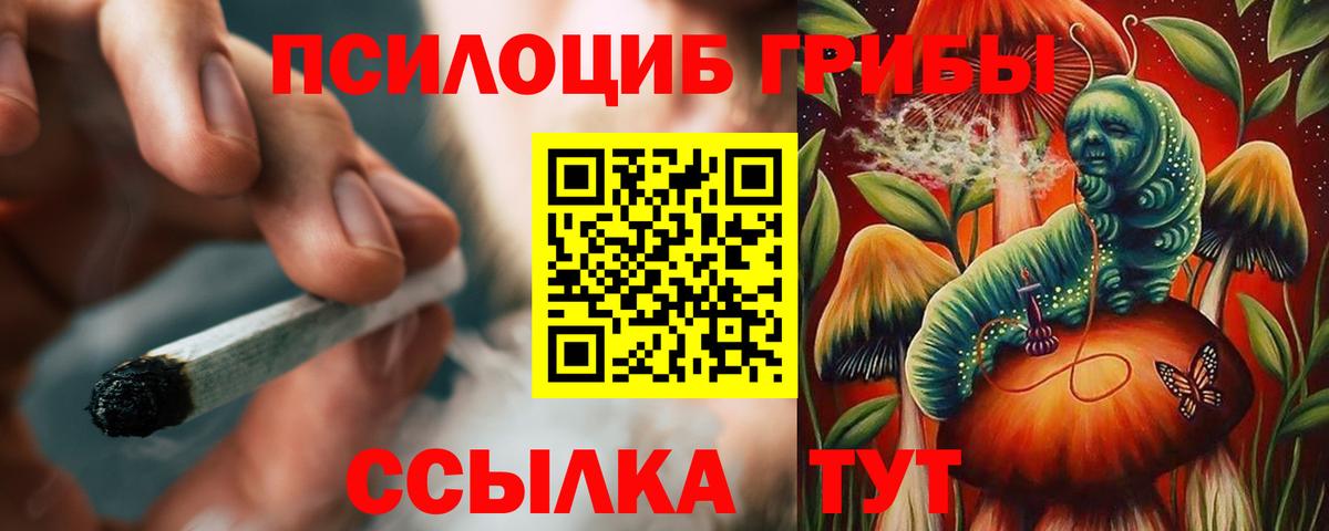 Батайск  Галлюциногенные грибы Cubensis  Вход с VPN  Псилоцибиновые грибы Psilocybe 